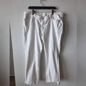 Signature by Levi Strauss White Women Jeans Plus Size